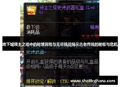 地下城领主之塔中的秘境冒险与无尽挑战揭示古老传说的秘密与危机